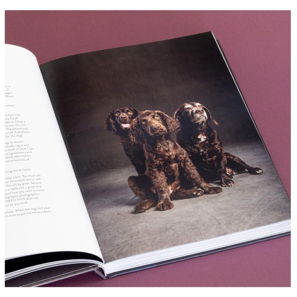 Perfect for all dog lovers! NEW! - Picture 4 of 8